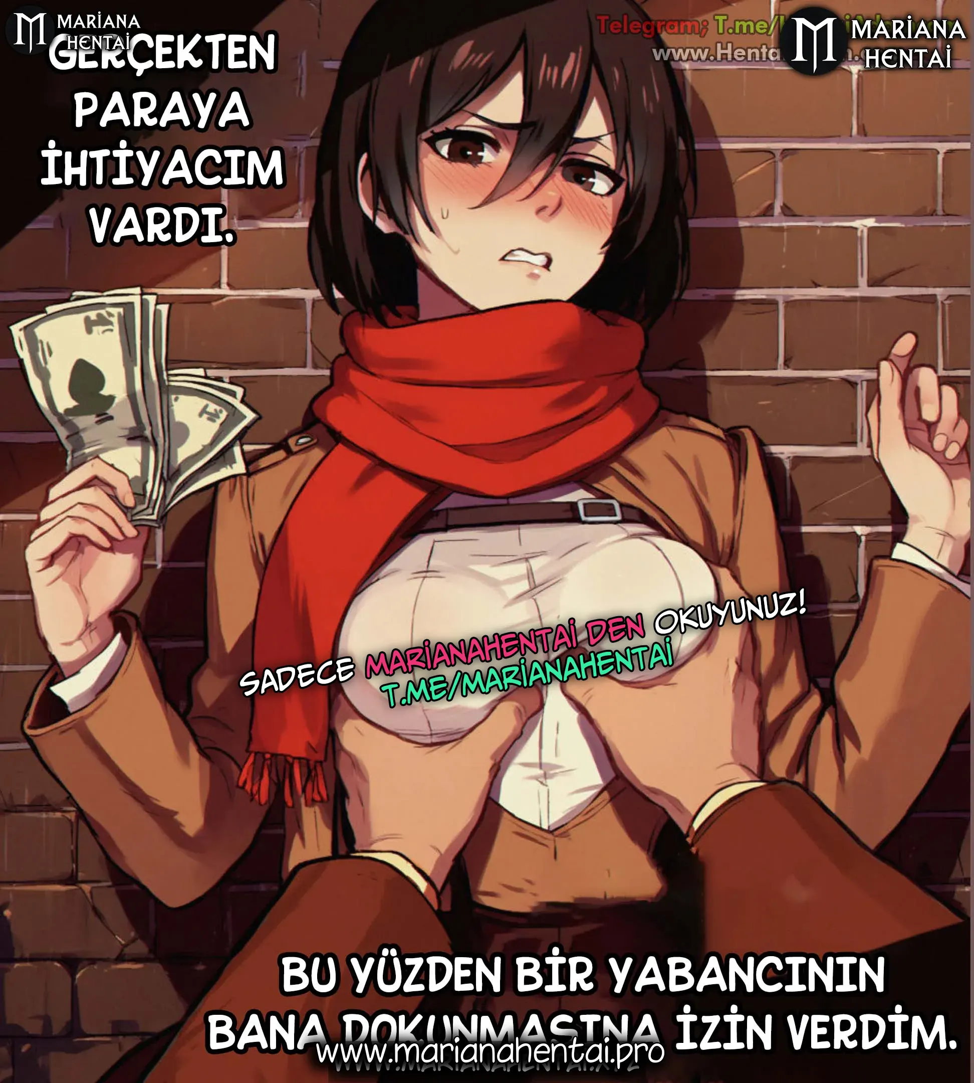 Gerçekten Paraya İhtiyacım Vardı